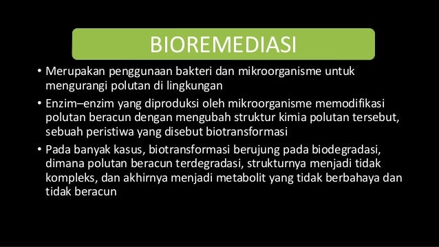bioremediasi limbah b3